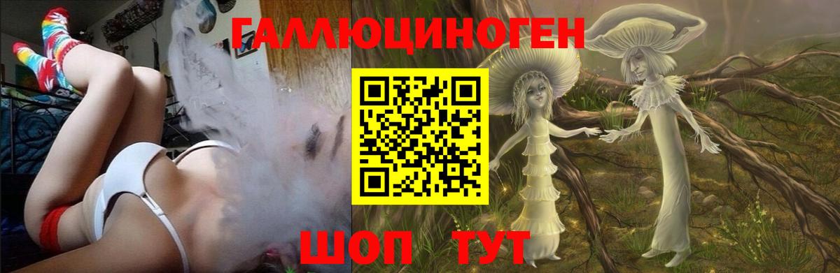 Ливны  Галлюциногенные грибы Cubensis  Вход с VPN 